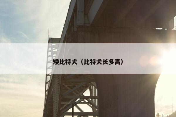 矮比特犬（比特犬长多高）