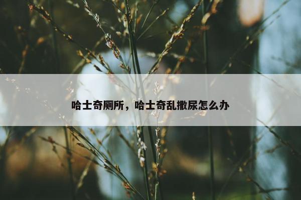 哈士奇厕所，哈士奇乱撒尿怎么办