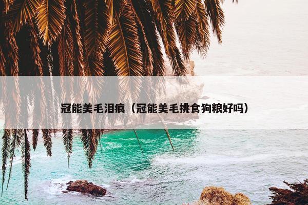 冠能美毛泪痕（冠能美毛挑食狗粮好吗）