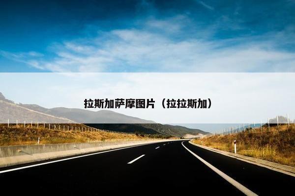 拉斯加萨摩图片（拉拉斯加）