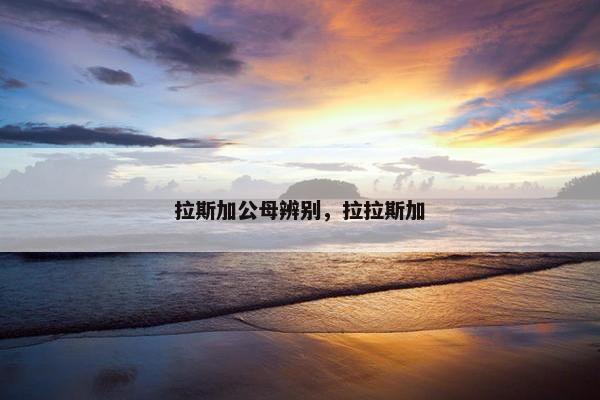 拉斯加公母辨别，拉拉斯加