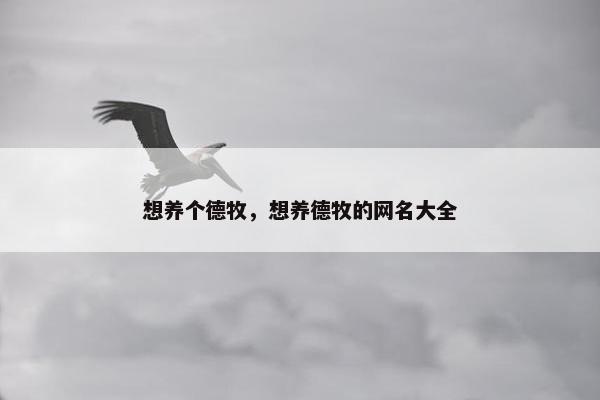 想养个德牧，想养德牧的网名大全