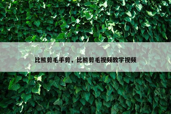 比熊剪毛手剪，比熊剪毛视频教学视频