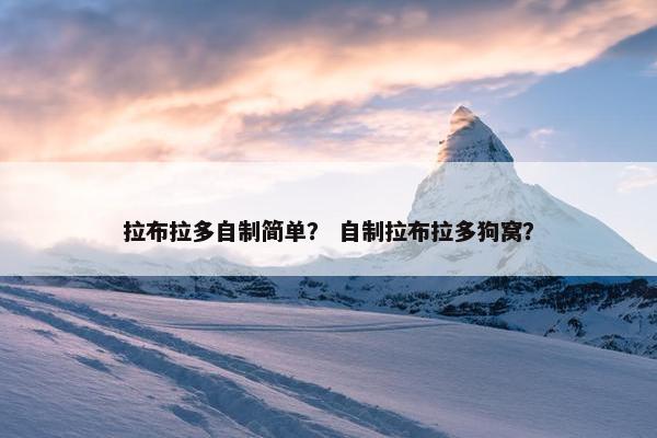 拉布拉多自制简单？ 自制拉布拉多狗窝？