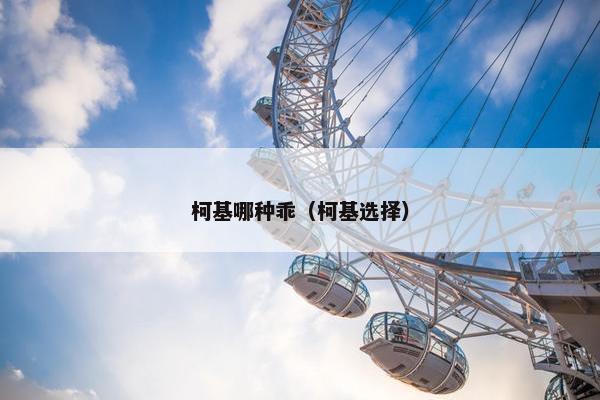 柯基哪种乖（柯基选择）