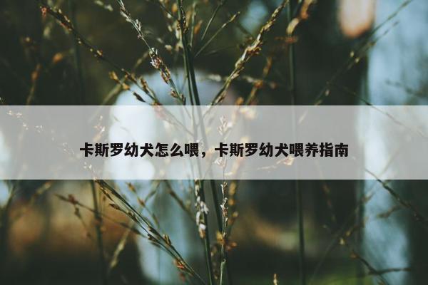 卡斯罗幼犬怎么喂，卡斯罗幼犬喂养指南