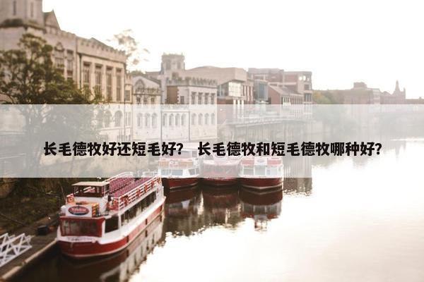长毛德牧好还短毛好？ 长毛德牧和短毛德牧哪种好？