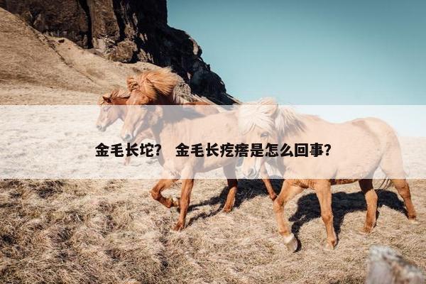 金毛长坨？ 金毛长疙瘩是怎么回事？