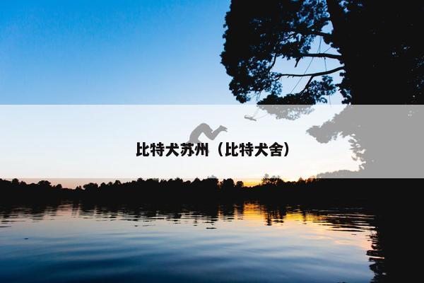 比特犬苏州（比特犬舍）
