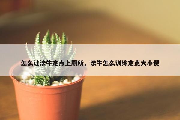 怎么让法牛定点上厕所，法牛怎么训练定点大小便
