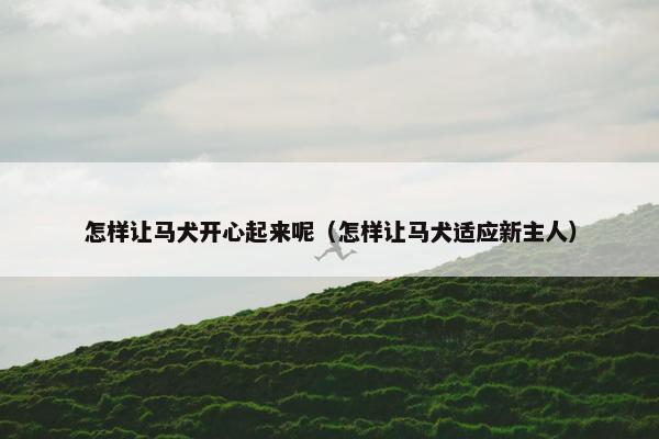 怎样让马犬开心起来呢（怎样让马犬适应新主人）
