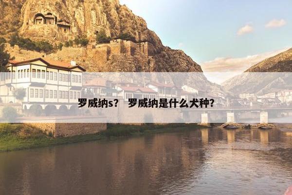 罗威纳s？ 罗威纳是什么犬种？