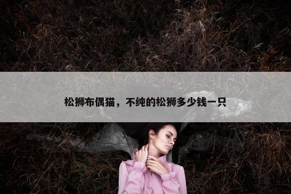松狮布偶猫，不纯的松狮多少钱一只