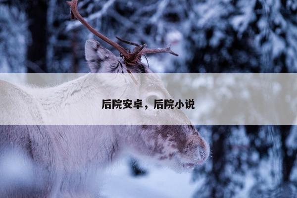 后院安卓，后院小说