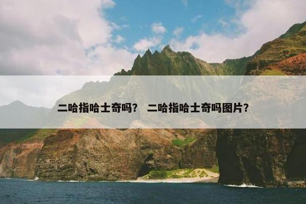 二哈指哈士奇吗？ 二哈指哈士奇吗图片？