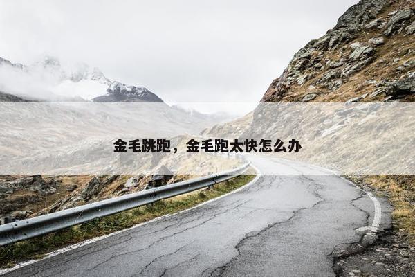 金毛跳跑，金毛跑太快怎么办