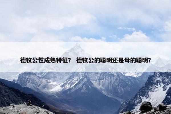德牧公性成熟特征？ 德牧公的聪明还是母的聪明？