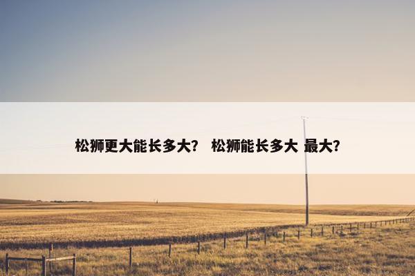 松狮更大能长多大？ 松狮能长多大 最大？