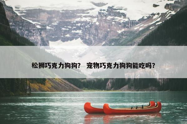 松狮巧克力狗狗？ 宠物巧克力狗狗能吃吗？