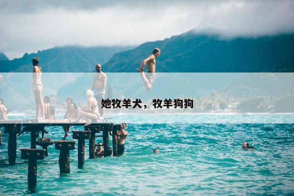 她牧羊犬，牧羊狗狗