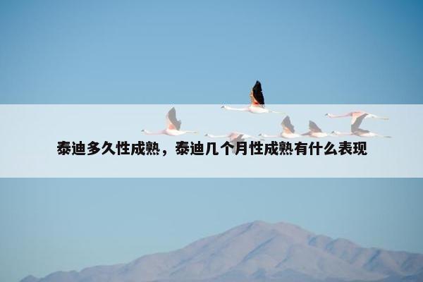 泰迪多久性成熟，泰迪几个月性成熟有什么表现