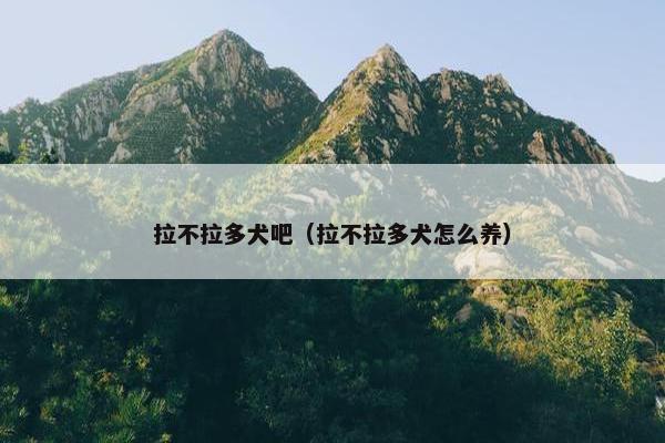 拉不拉多犬吧（拉不拉多犬怎么养）