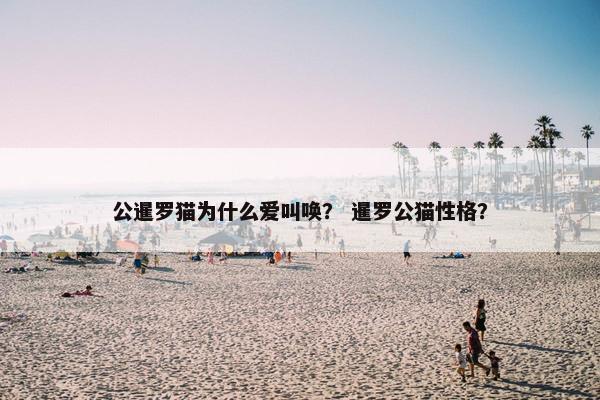 公暹罗猫为什么爱叫唤？ 暹罗公猫性格？