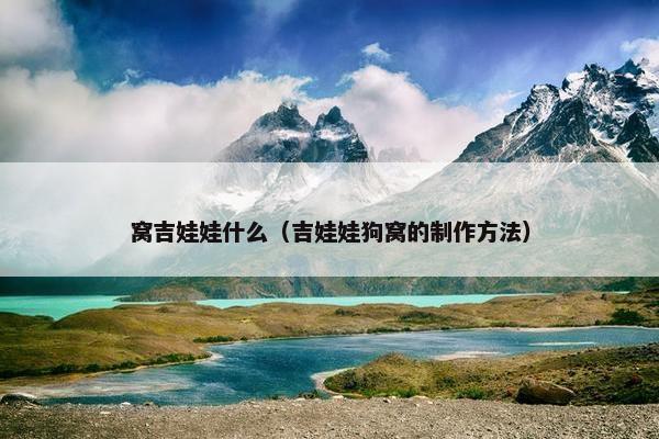 窝吉娃娃什么（吉娃娃狗窝的制作方法）