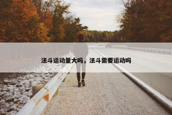 法斗运动量大吗，法斗需要运动吗