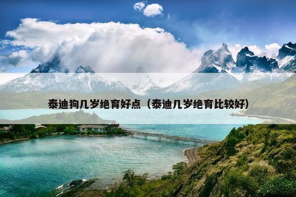 泰迪狗几岁绝育好点（泰迪几岁绝育比较好）