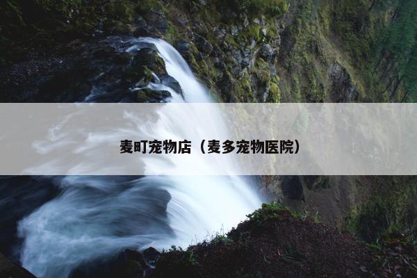 麦町宠物店（麦多宠物医院）