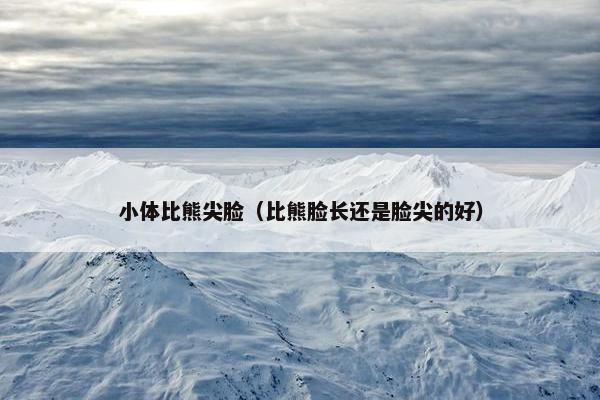 小体比熊尖脸（比熊脸长还是脸尖的好）