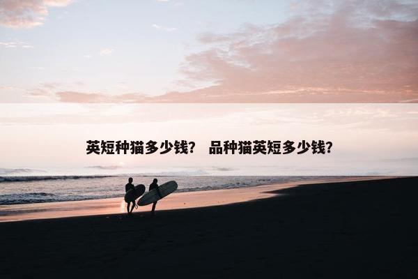 英短种猫多少钱？ 品种猫英短多少钱？