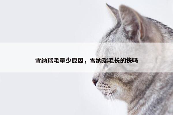 雪纳瑞毛量少原因，雪纳瑞毛长的快吗