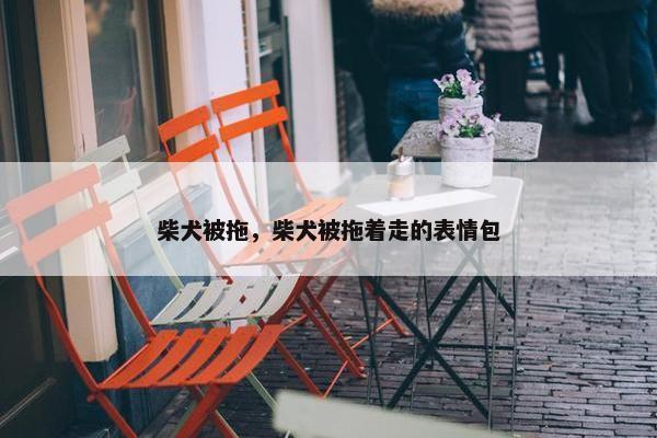 柴犬被拖，柴犬被拖着走的表情包