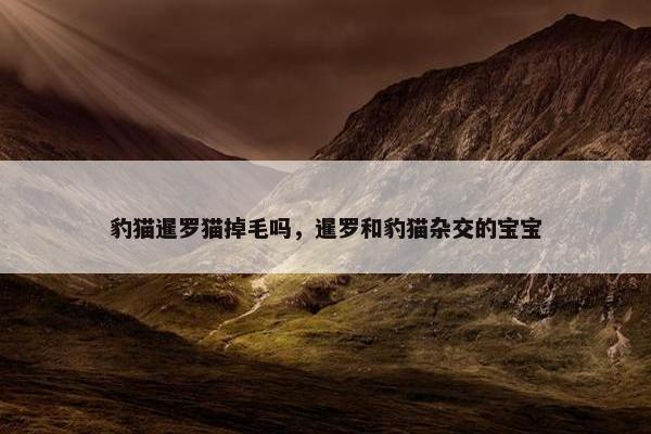 豹猫暹罗猫掉毛吗，暹罗和豹猫杂交的宝宝