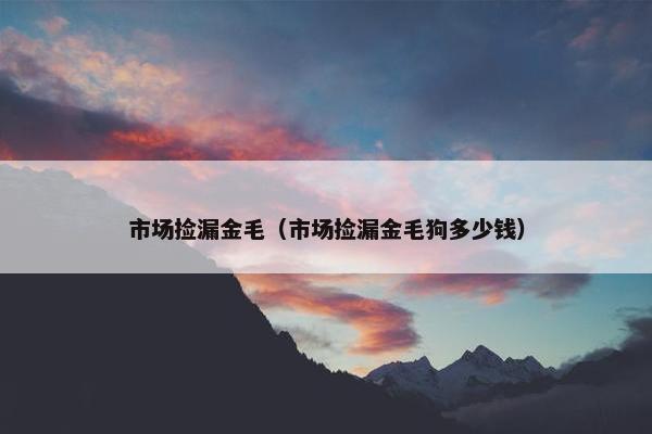 市场捡漏金毛（市场捡漏金毛狗多少钱）