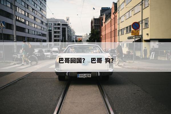 巴哥回国？ 巴哥 狗？
