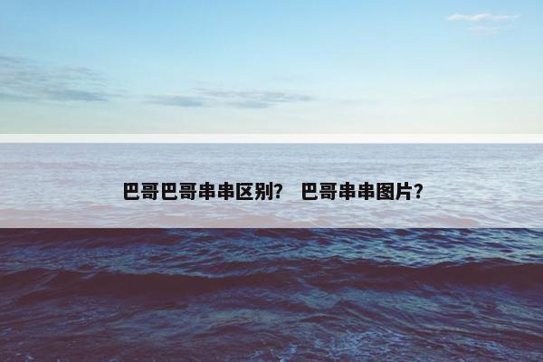 巴哥巴哥串串区别？ 巴哥串串图片？