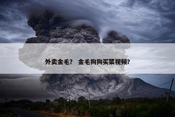 外卖金毛？ 金毛狗狗买菜视频？