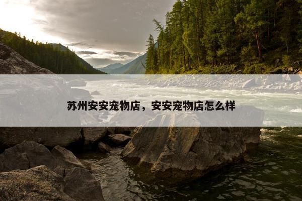 苏州安安宠物店，安安宠物店怎么样