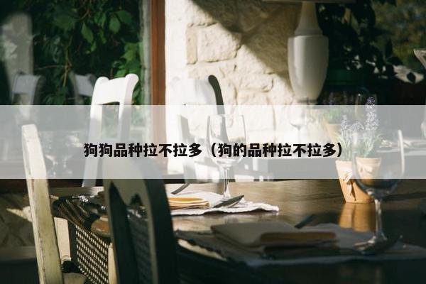 狗狗品种拉不拉多（狗的品种拉不拉多）
