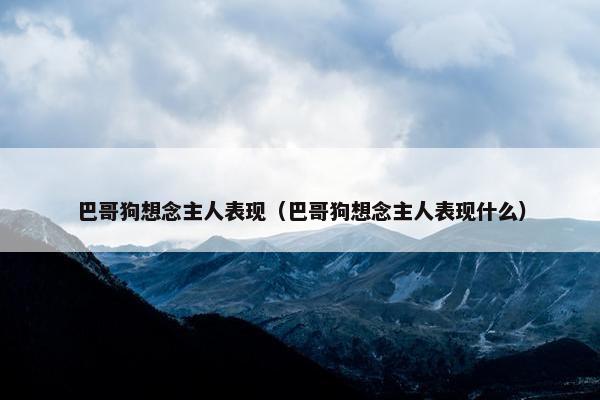 巴哥狗想念主人表现（巴哥狗想念主人表现什么）