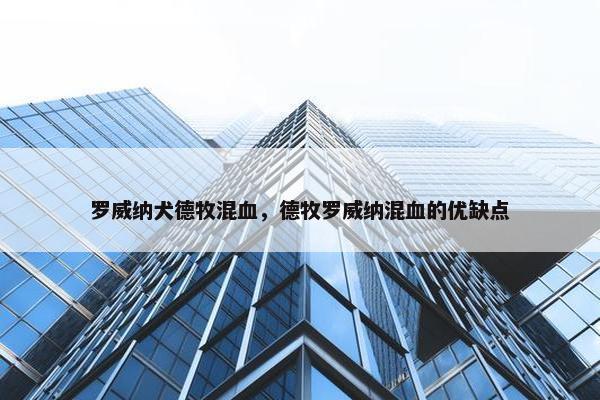 罗威纳犬德牧混血，德牧罗威纳混血的优缺点