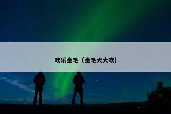 欢乐金毛（金毛犬大欢）