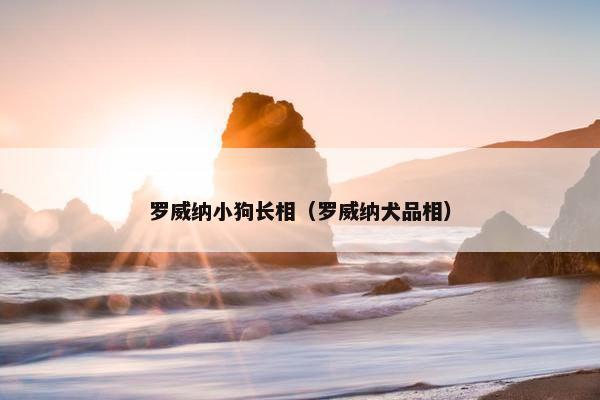 罗威纳小狗长相（罗威纳犬品相）