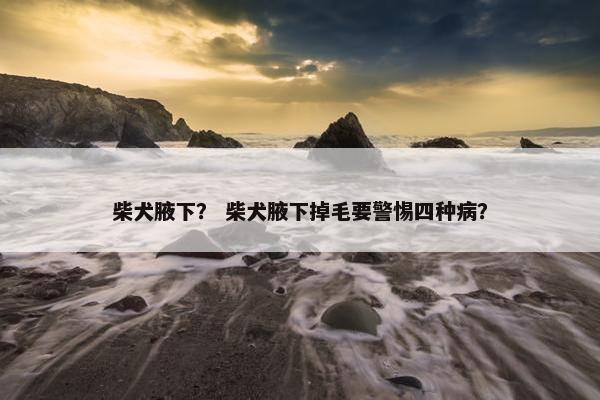 柴犬腋下？ 柴犬腋下掉毛要警惕四种病？