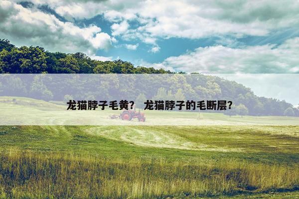 龙猫脖子毛黄？ 龙猫脖子的毛断层？