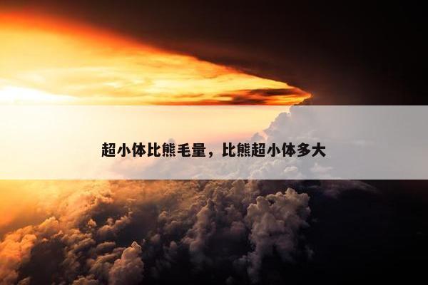 超小体比熊毛量，比熊超小体多大
