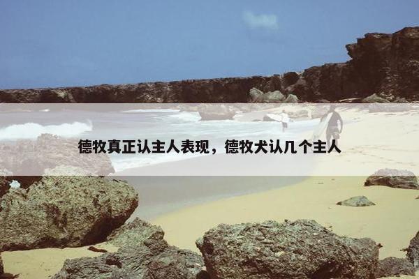 德牧真正认主人表现，德牧犬认几个主人
